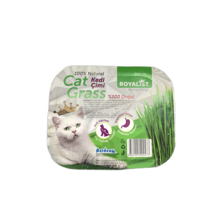 علف گربه روياليست cat grass - Image 1