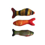 ماهی کت‌نیپدار ۳‌تایی