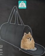 کیف حمل آلمان - Image 2